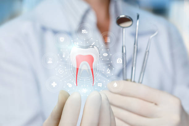 Best Invisalign and Clear Aligners  in Kaser, NY